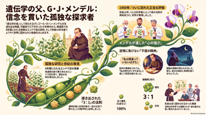 Photo Photo