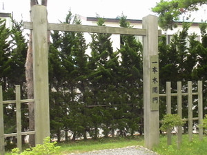 Dsc00214 Dsc00214